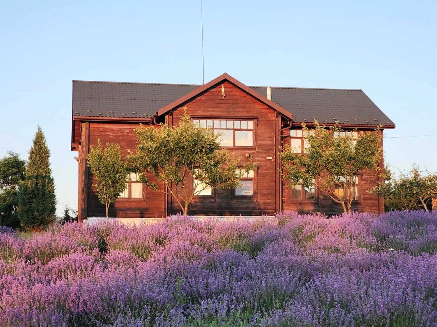 The Provence Village — інтер'єр