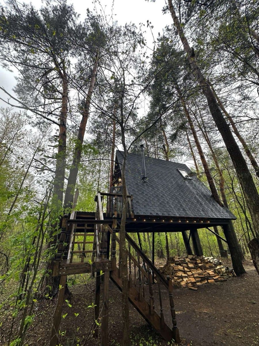 Visia TreeHouse — вигляд з вікна