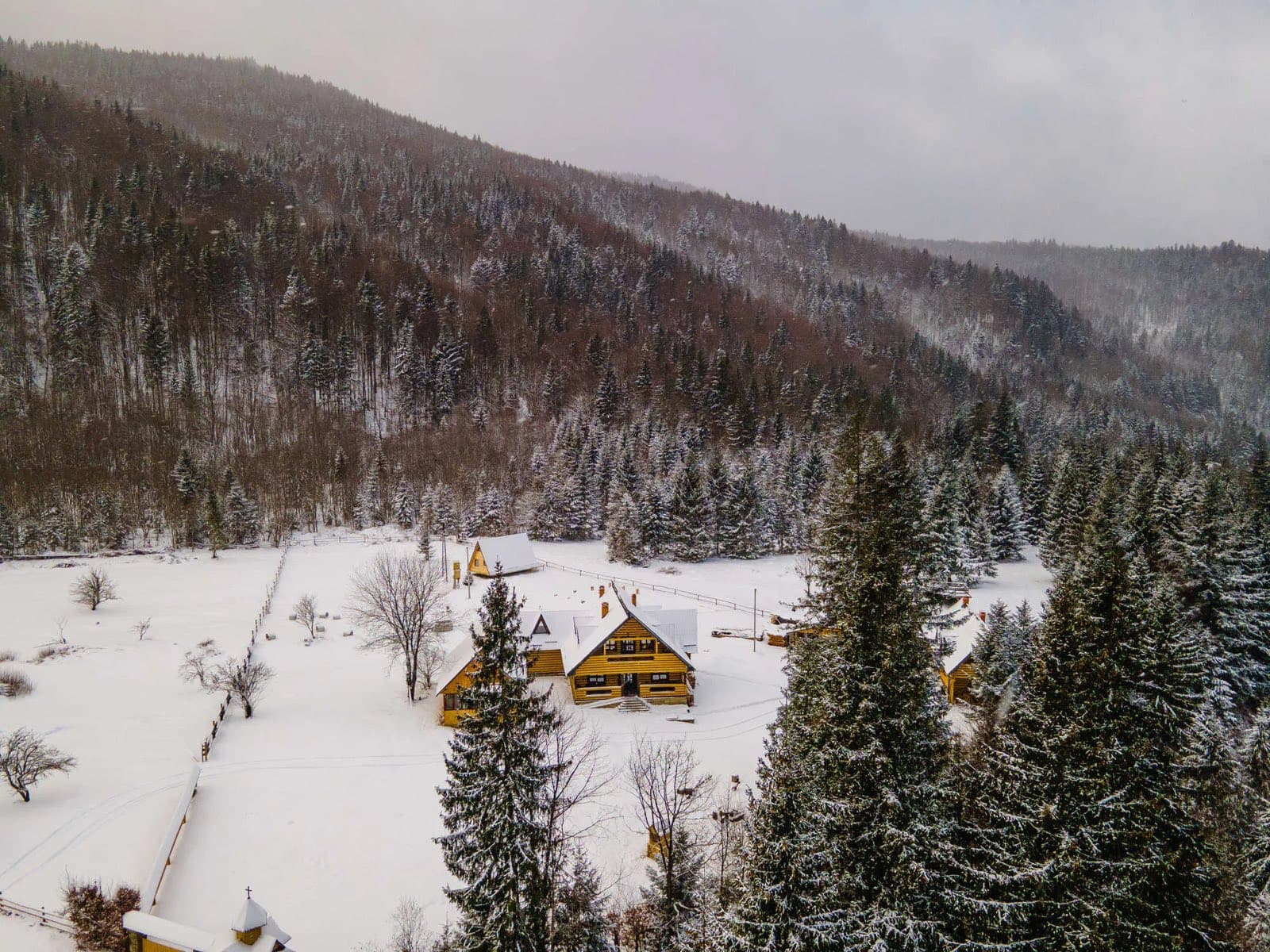 Зелениця — головне фото
